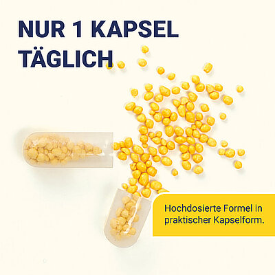 80 Kapseln mit Depot-Wirkung