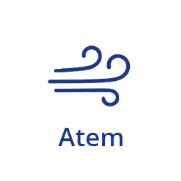 Atem